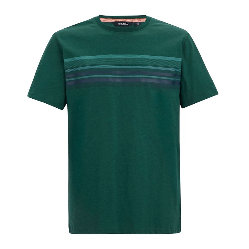 Regatta Mens Rendro TShirt  Mediterranea